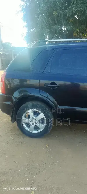 Hyundai Tucson 2007 Bleu