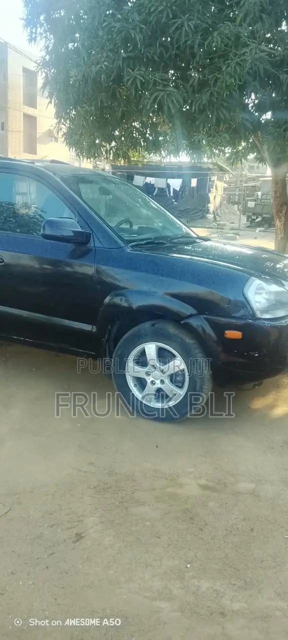 Hyundai Tucson 2007 Bleu