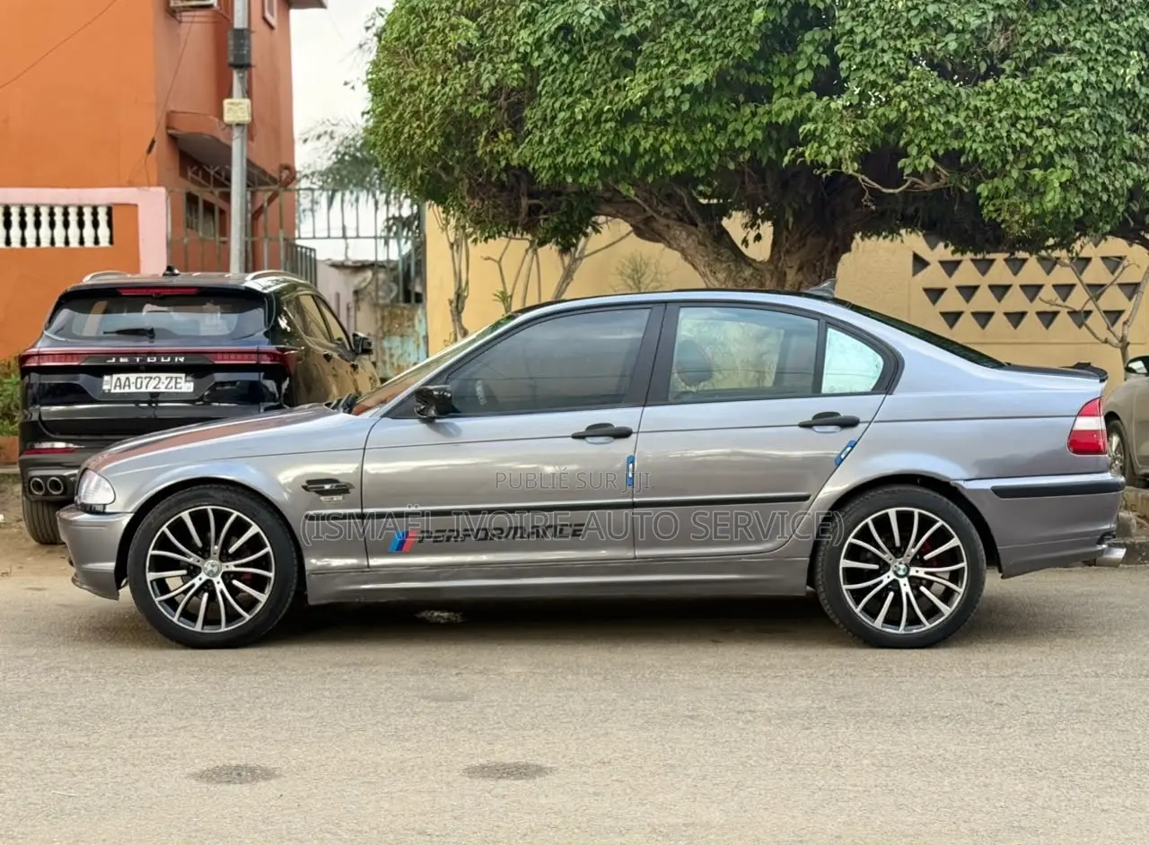BMW 318i 2002 Gris