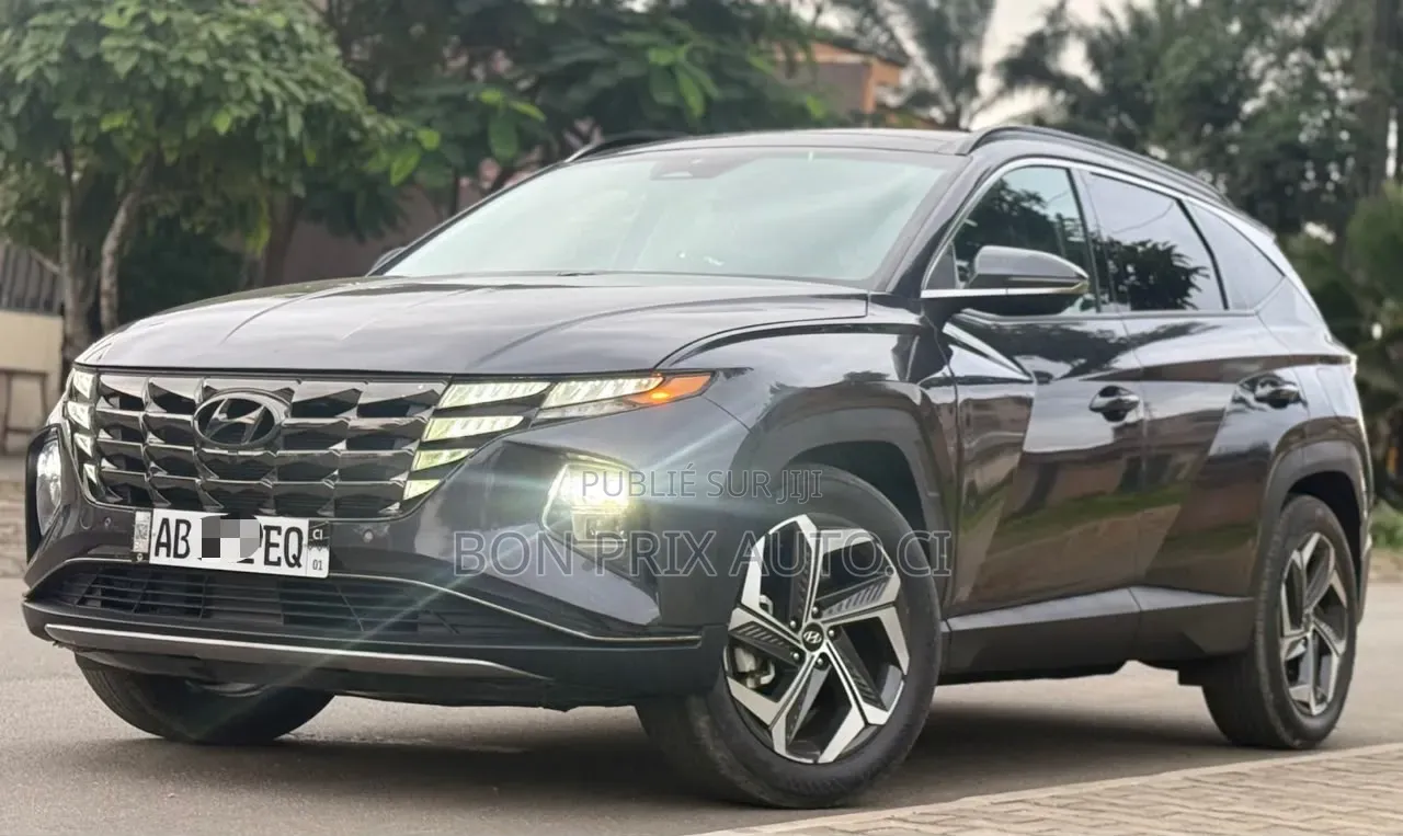 Hyundai Tucson N Line 2023 Gris