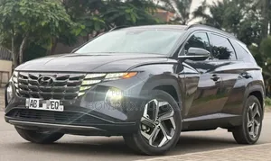 Hyundai Tucson N Line 2023 Gris