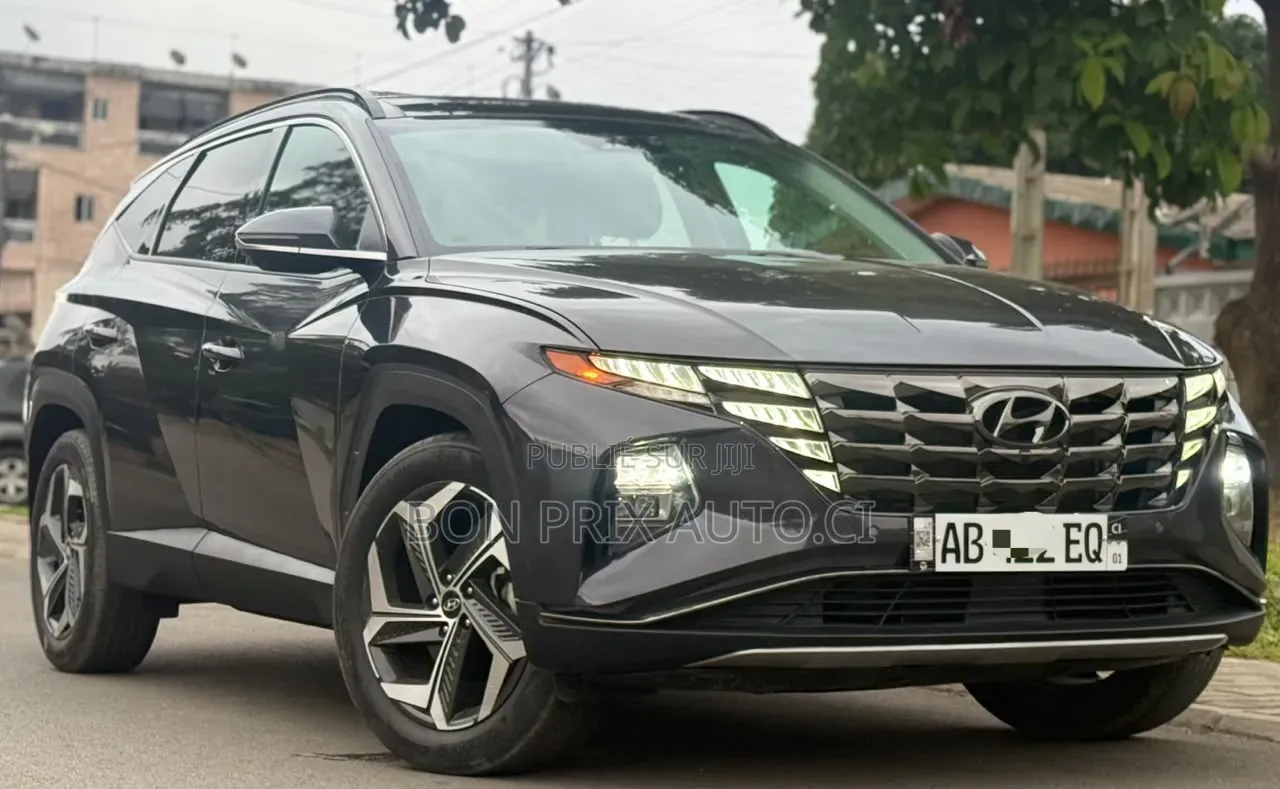 Hyundai Tucson N Line 2023 Gris