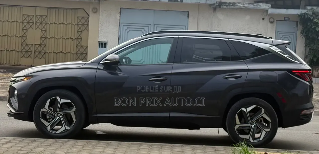 Hyundai Tucson N Line 2023 Gris