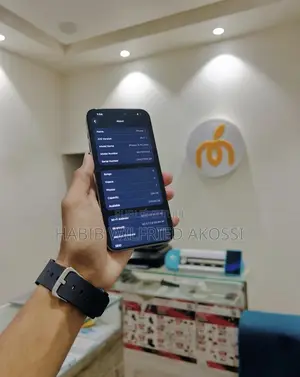 Nouveau Apple iPhone 15 Pro Max 256 GB Argenté