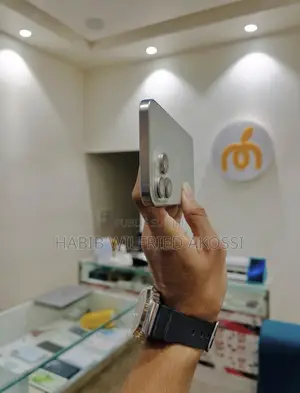Nouveau Apple iPhone 15 Pro Max 256 GB Argenté