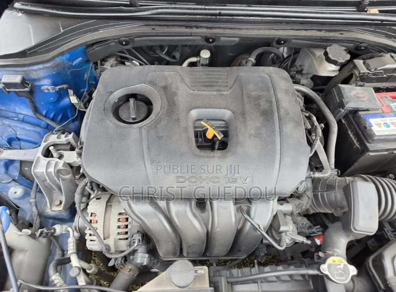 Hyundai Elantra 2017 Bleu