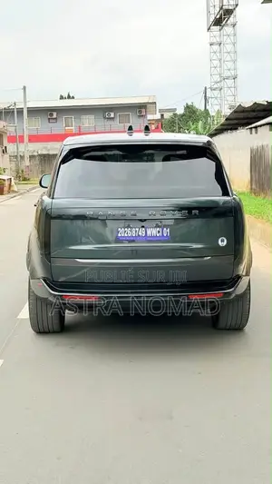Rover MGF 2025 Gris