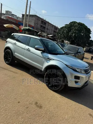 Rover Land 2013 Gris