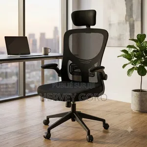 Fauteuil De Bureau
