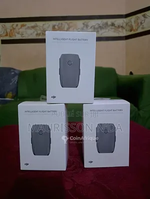 Batteries Mavic 2 Entreprise