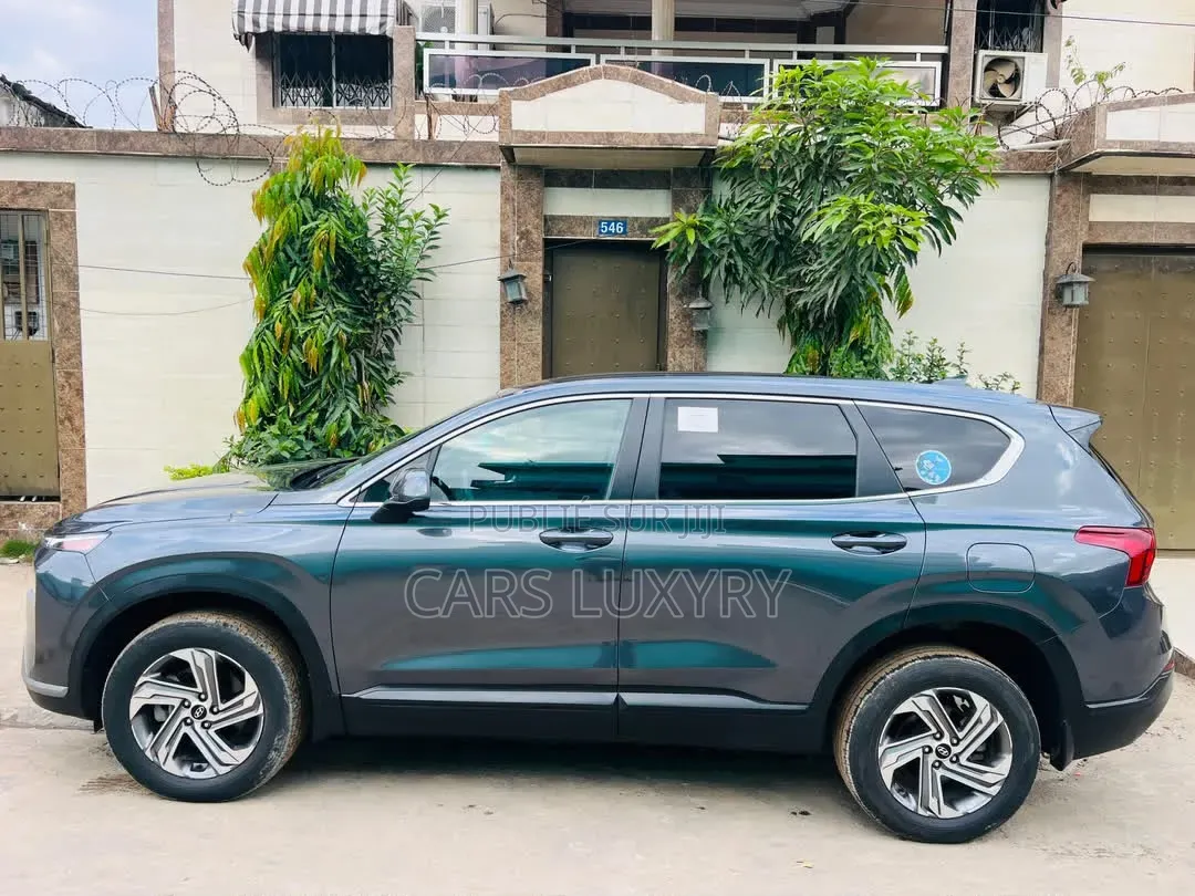Hyundai Santa Fe Calligraphy 2023 Argenté