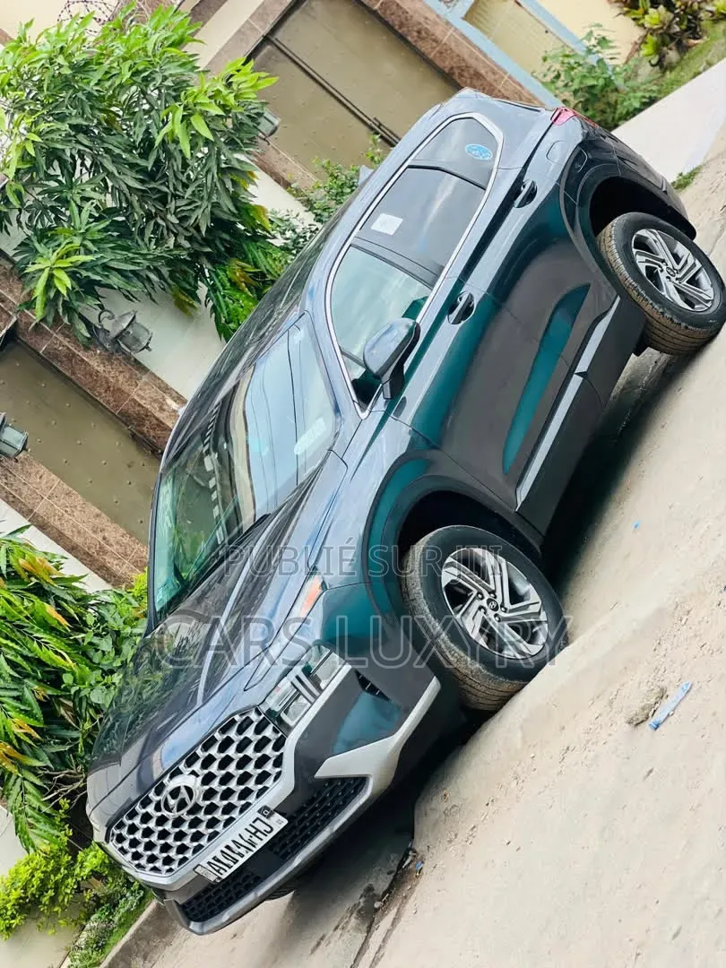Hyundai Santa Fe Calligraphy 2023 Argenté