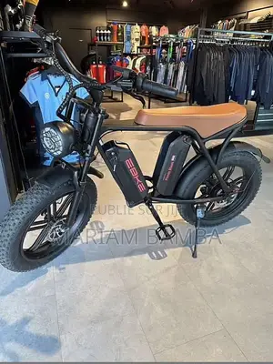Vélo Électrique