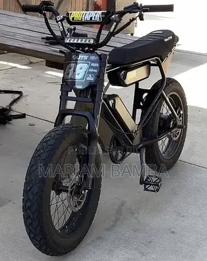 Vélo Électrique