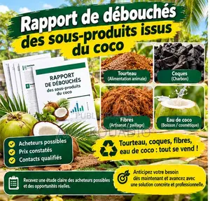 Rapport De Débouchés Des Sous-Produits Issus Du Coco