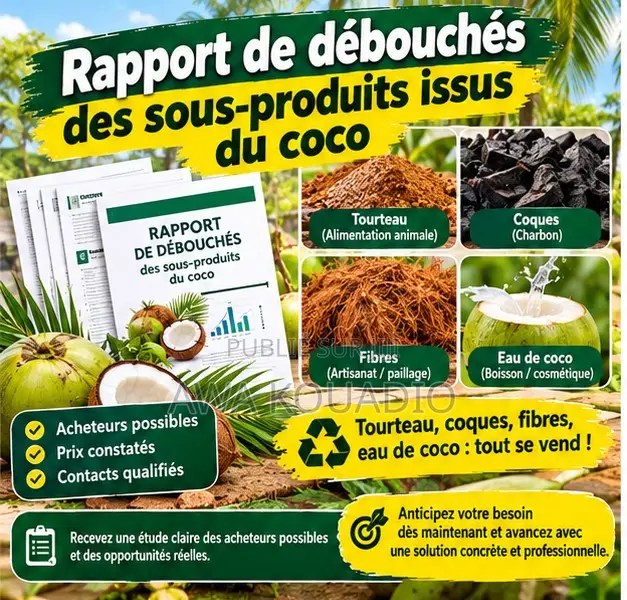 Rapport De Débouchés Des Sous-Produits Issus Du Coco