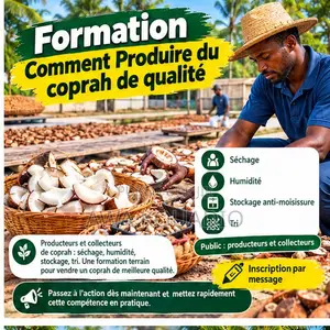 Formation Comment Produire Du Coprah De Qualité
