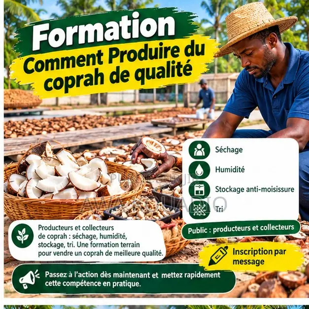 Formation Comment Produire Du Coprah De Qualité