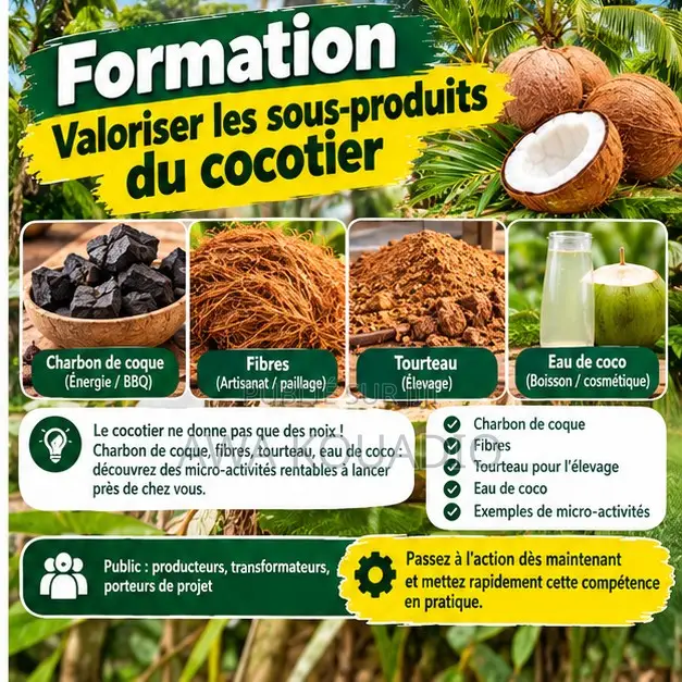 Formation Valoriser Les Sous-Produits Du Cocotier
