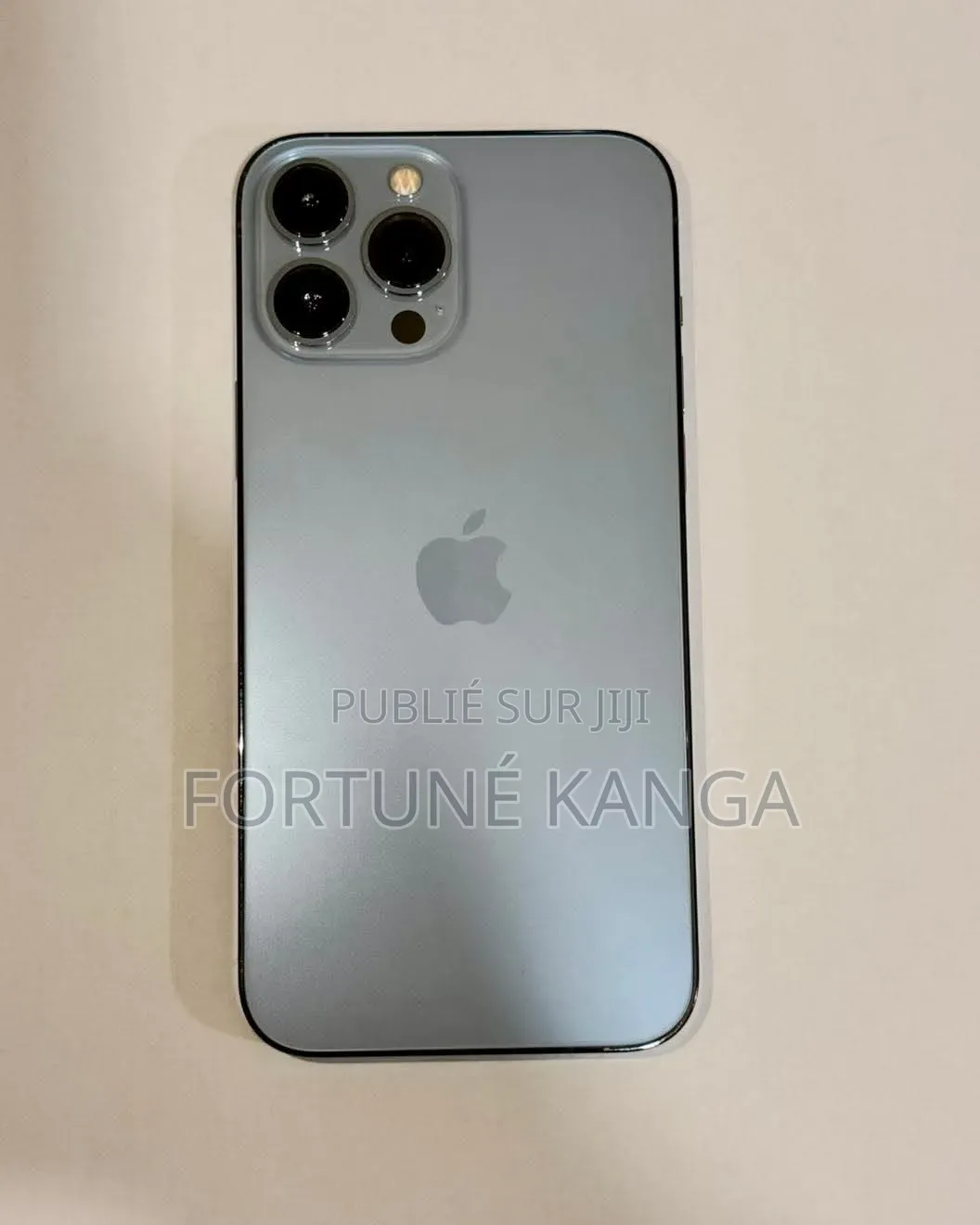 Nouveau Apple iPhone 13 Pro Max 256 GB Argenté