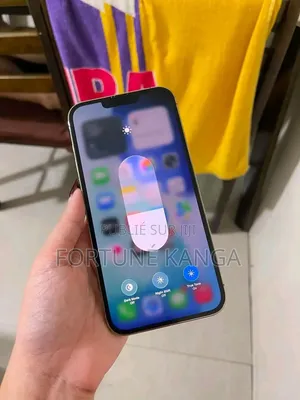 Nouveau Apple iPhone 13 Pro Max 256 GB Argenté