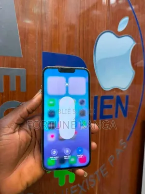Nouveau Apple iPhone 13 Pro Max 256 GB Argenté