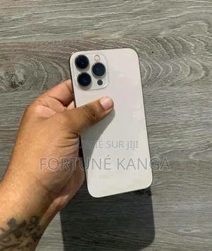 Nouveau Apple iPhone 13 Pro Max 256 GB Argenté
