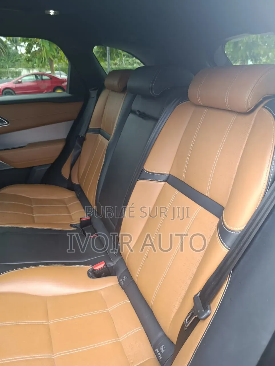 Rover MGF 2022 Noir Mat
