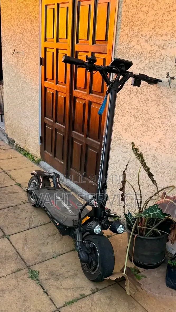 Trottinette Électrique