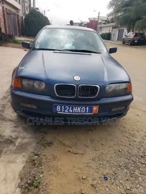 BMW 3 Series 316i RWD 2004 Bleu