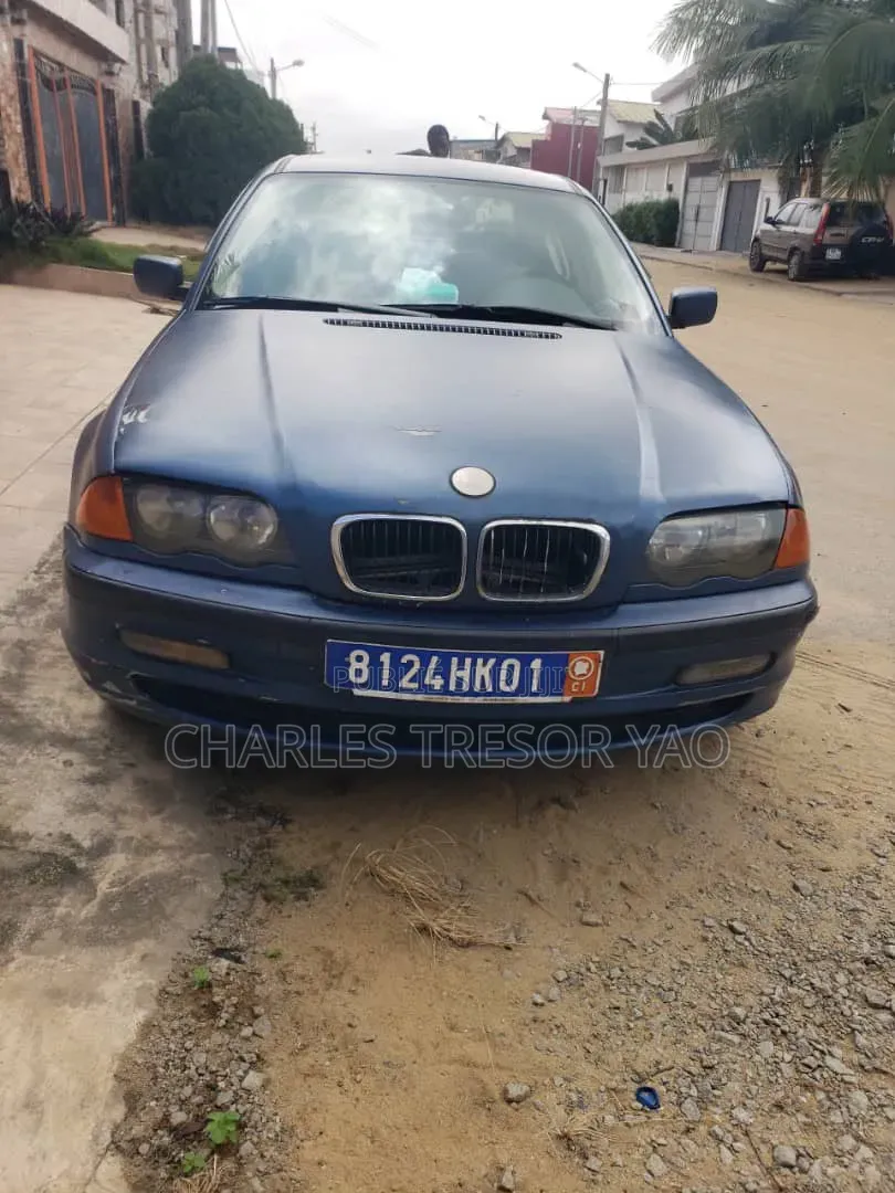BMW 3 Series 316i RWD 2004 Bleu