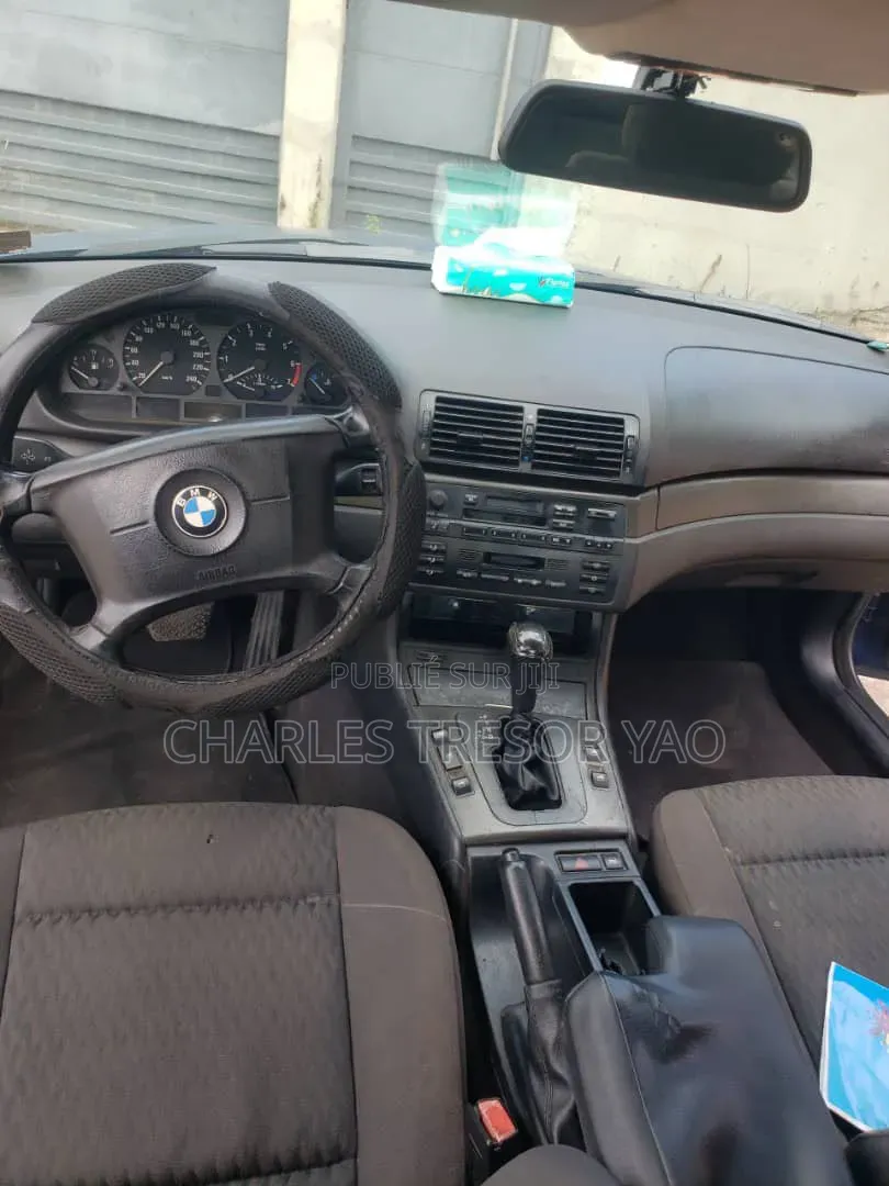 BMW 3 Series 316i RWD 2004 Bleu