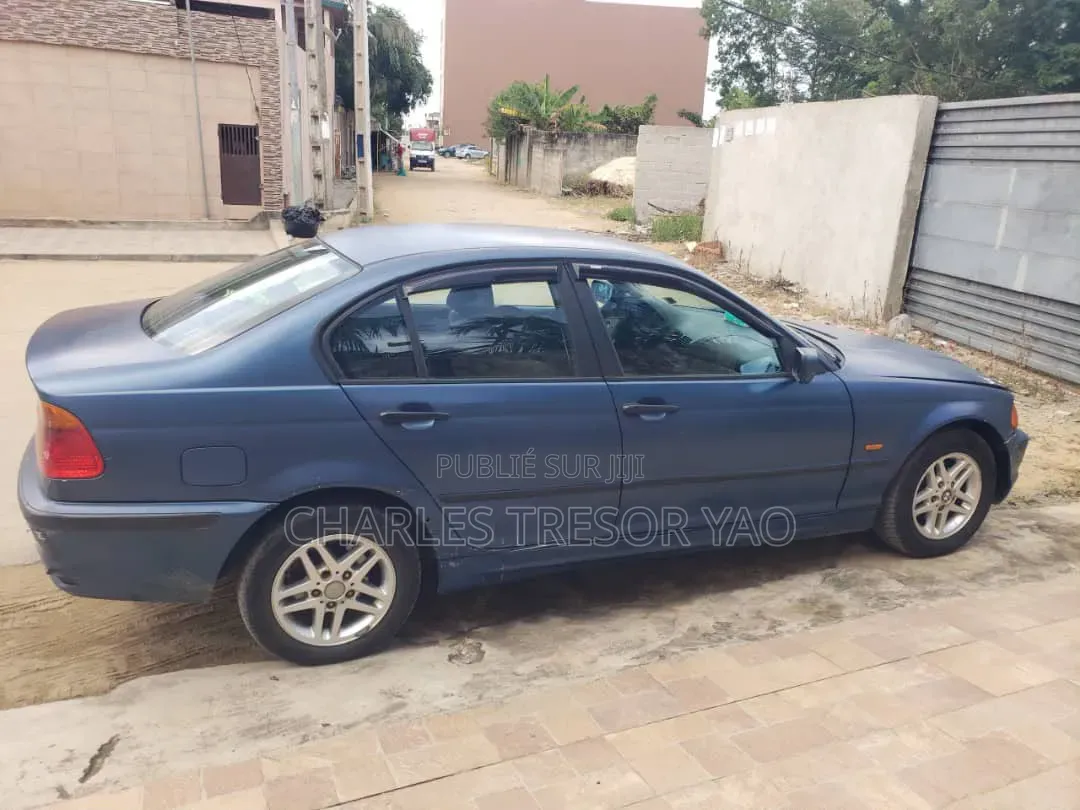 BMW 3 Series 316i RWD 2004 Bleu