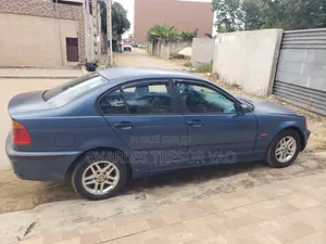BMW 3 Series 316i RWD 2004 Bleu
