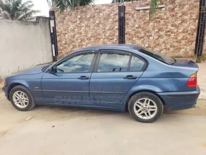 BMW 3 Series 316i RWD 2004 Bleu