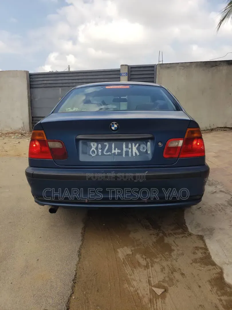 BMW 3 Series 316i RWD 2004 Bleu