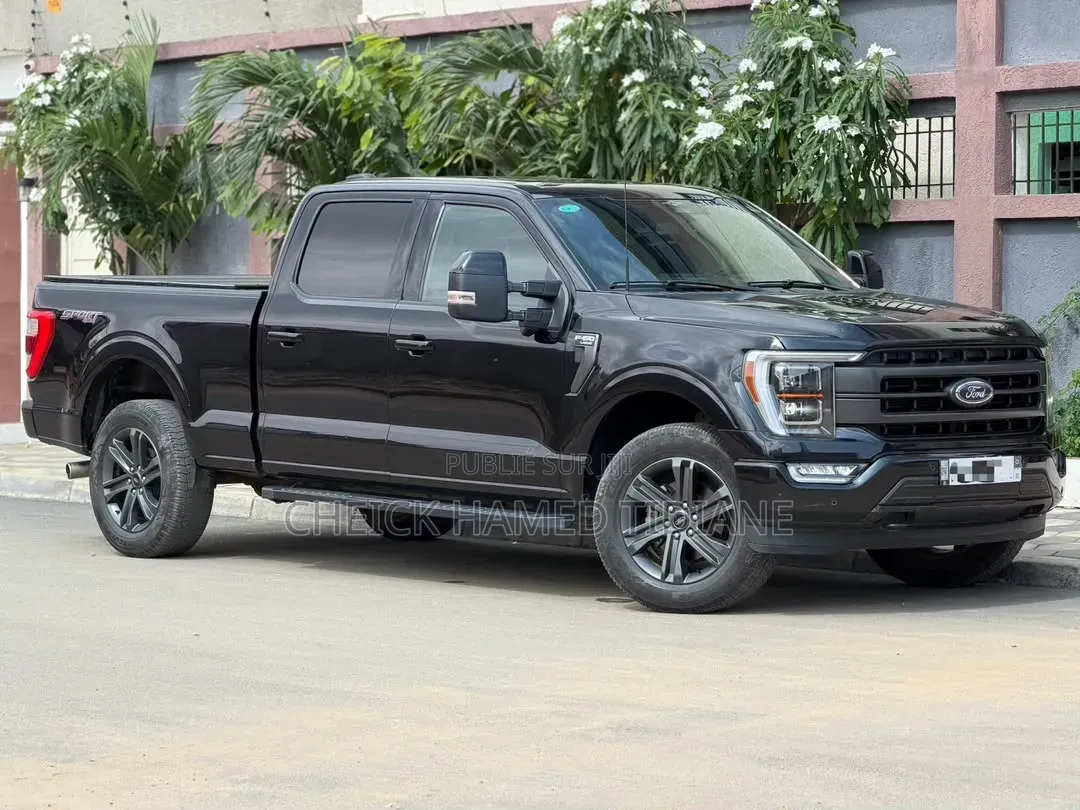 Ford F-150 LARIAT 2024 Noir