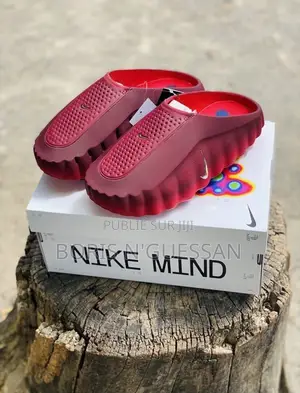 Chaussure Nike