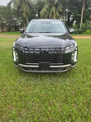 Hyundai Palisade 2026 Noir