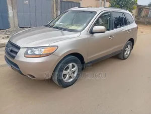 Hyundai Santa Fe 2009