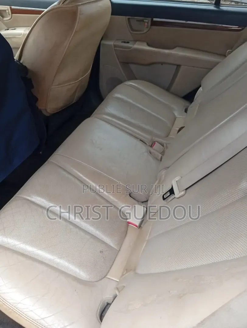 Hyundai Santa Fe 2009