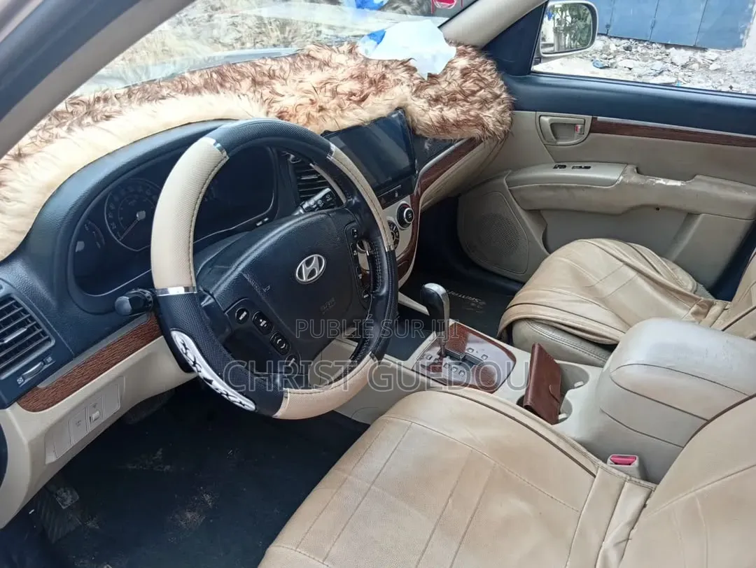 Hyundai Santa Fe 2009