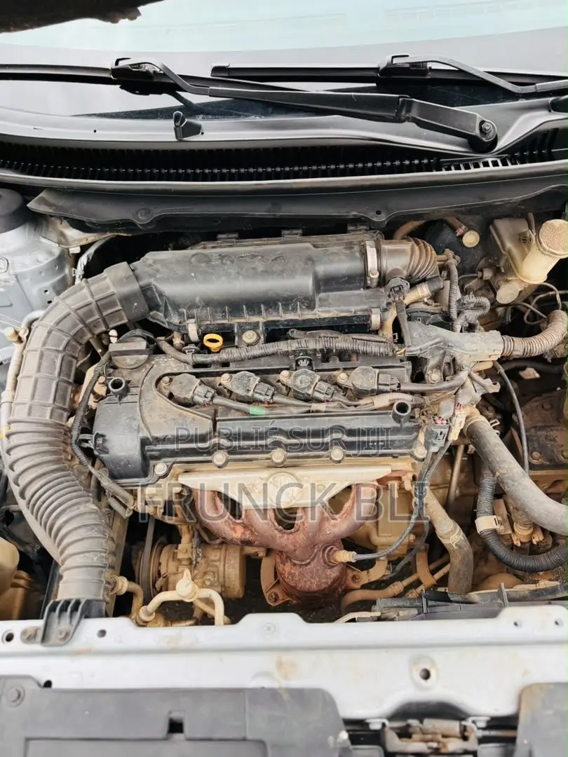 Toyota Starlet 2020 Gris