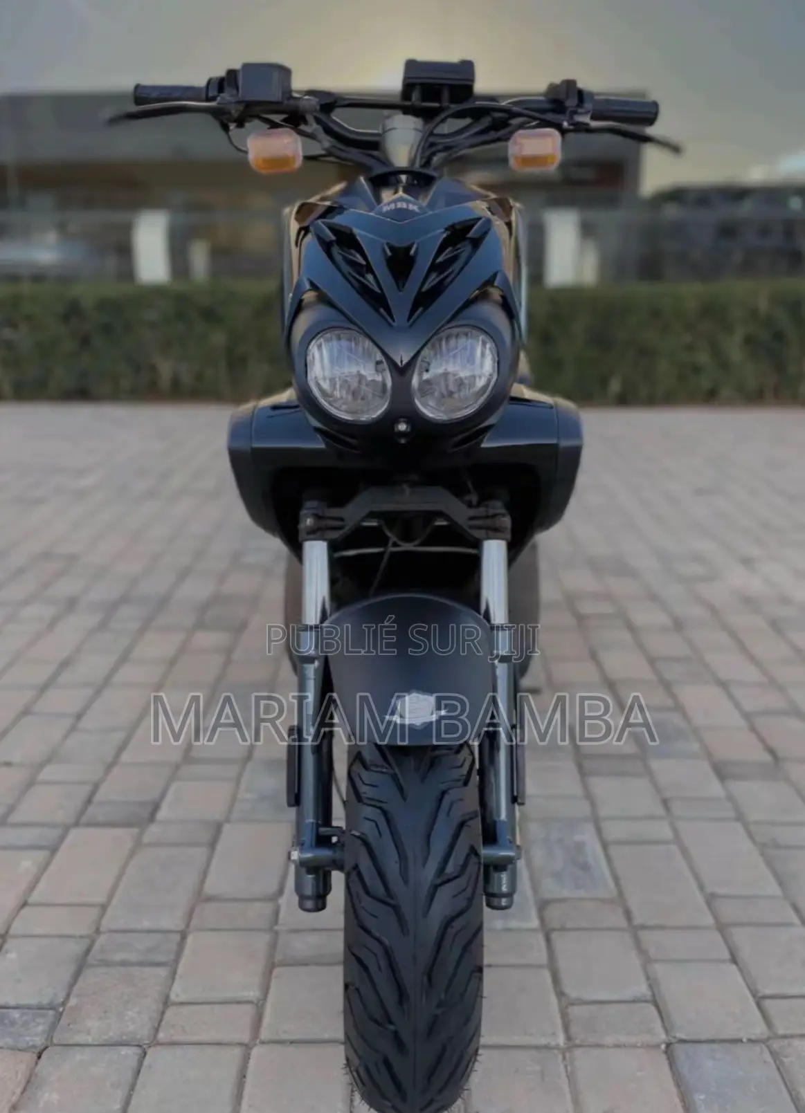 Nouveau Beetle Bolt Stinger 2025 Noir