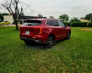 Haval Jolion 2025 Rouge