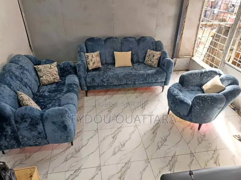 Salon Très Très Élégant Et Confortable
