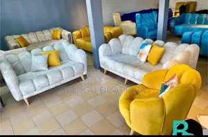 Salon Très Très Élégant Et Confortable