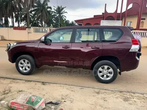 Toyota Land Cruiser 2010 Rouge