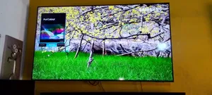 Sonic TV Repair All Can of TV Repair Service