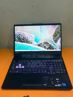 Ordinateur portable Asus TUF Gaming F15 16GB Intel Core i7 SSD 512GB